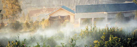 苍松灌溉--昆明世界园艺博览园--茶园微喷灌溉