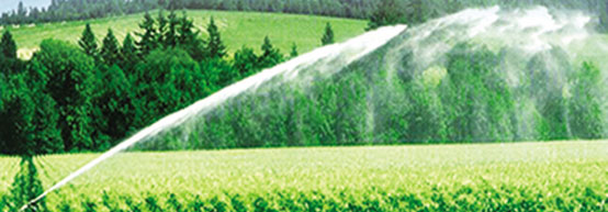 苍松灌溉---意大利西美喷枪应用于大田喷灌