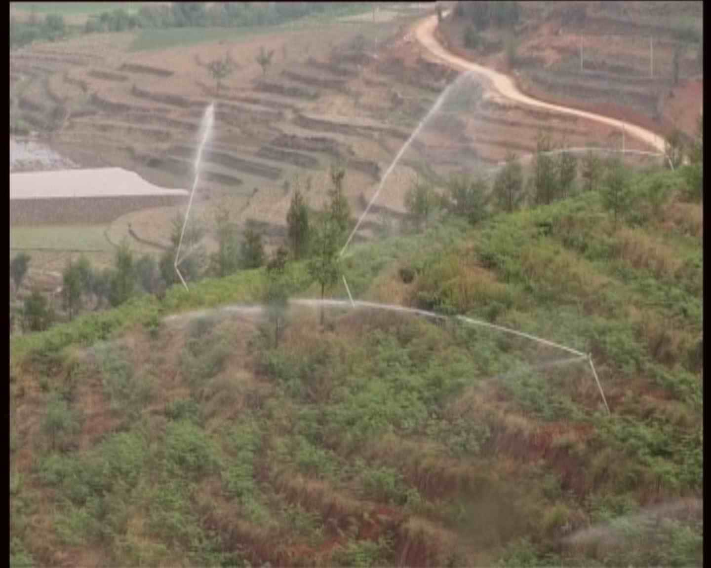 临沧市临翔区---1000亩生态茶园喷灌工程