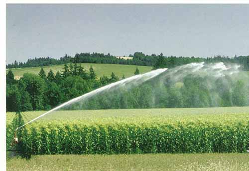 意大利西美喷枪应用于农业灌溉