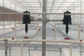 昆明立深新园公司--薄膜温室内精准灌溉系统安装工程