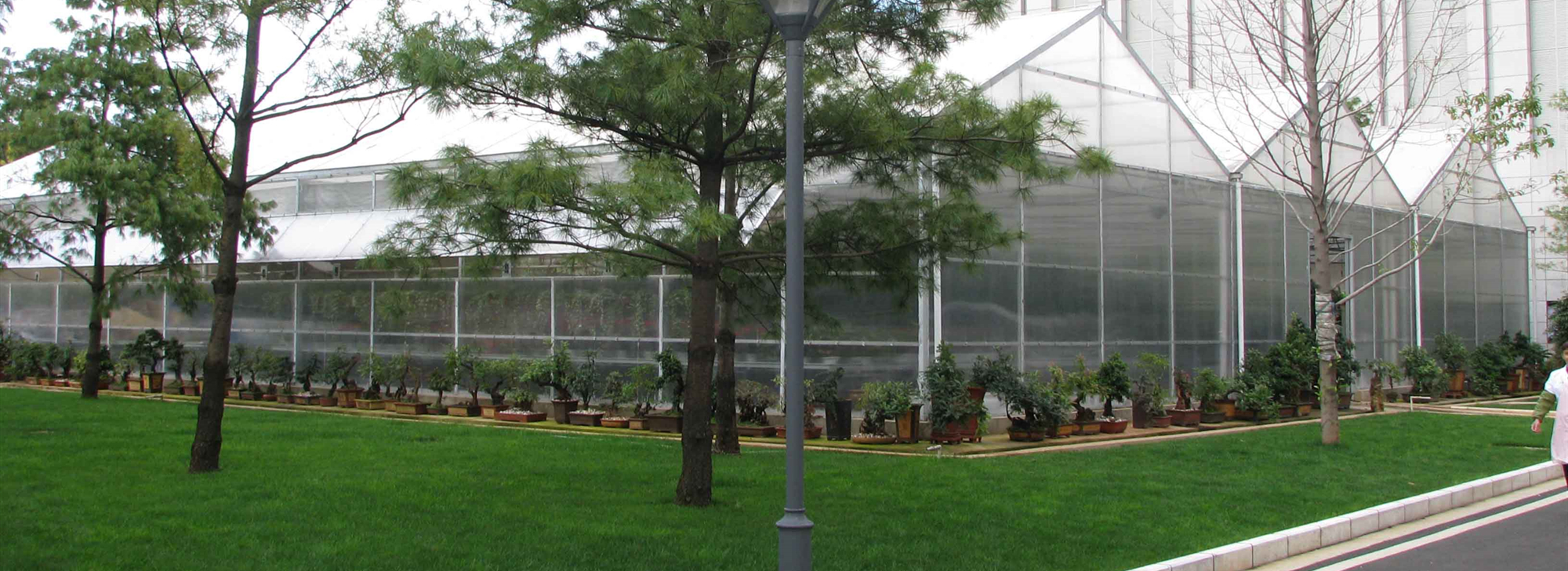 苍松温室---中共云南省委--办公区PC板温室及灌溉 